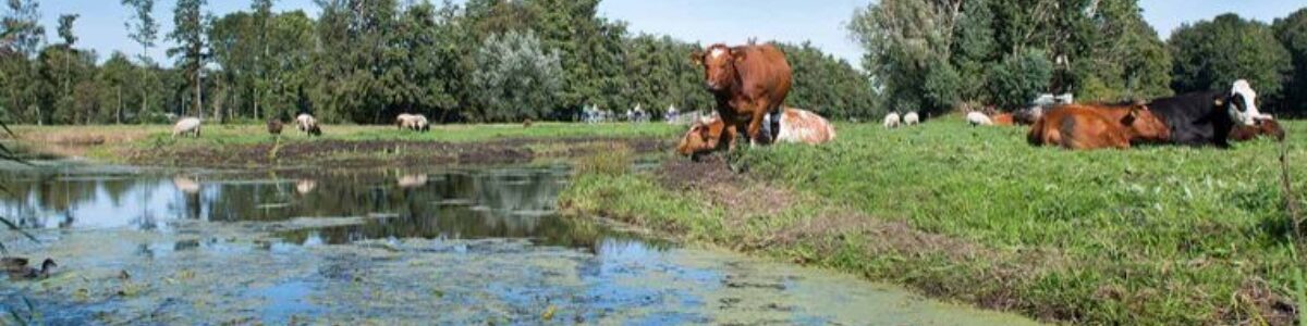 Cheese Valley - ANWB Fietsen