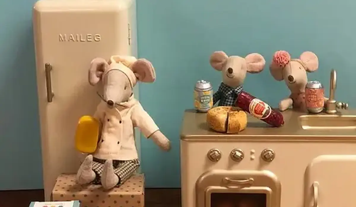 187686443 3990623791053285 7239476707024391976 n 503x