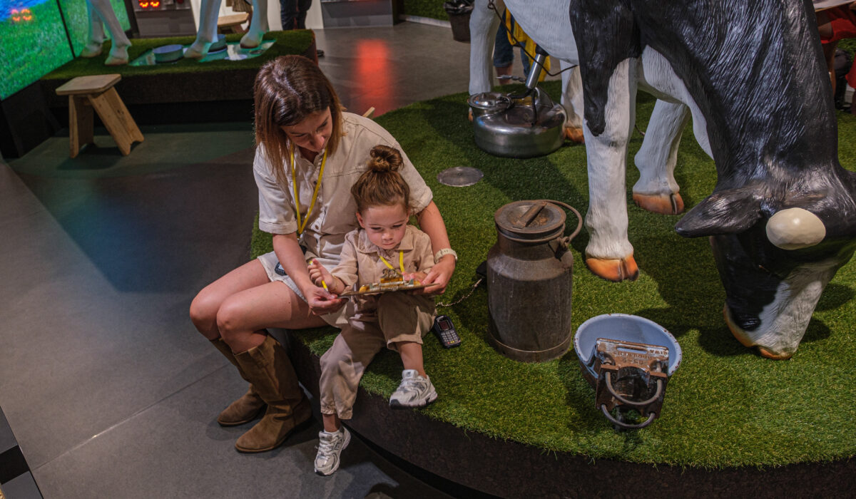 Gouda Cheese Experience 2