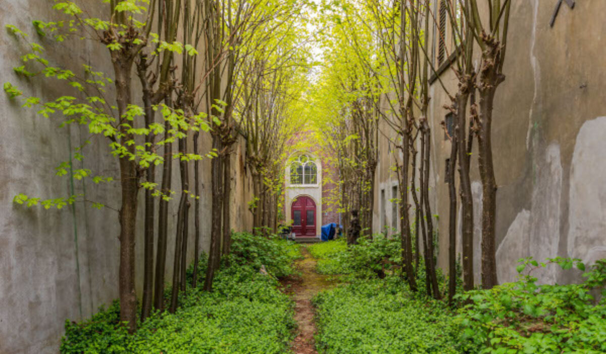 Introductory walk through gates and alleys