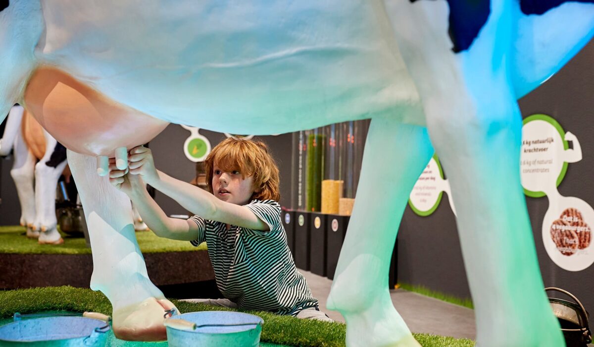 Gouda cheese experience