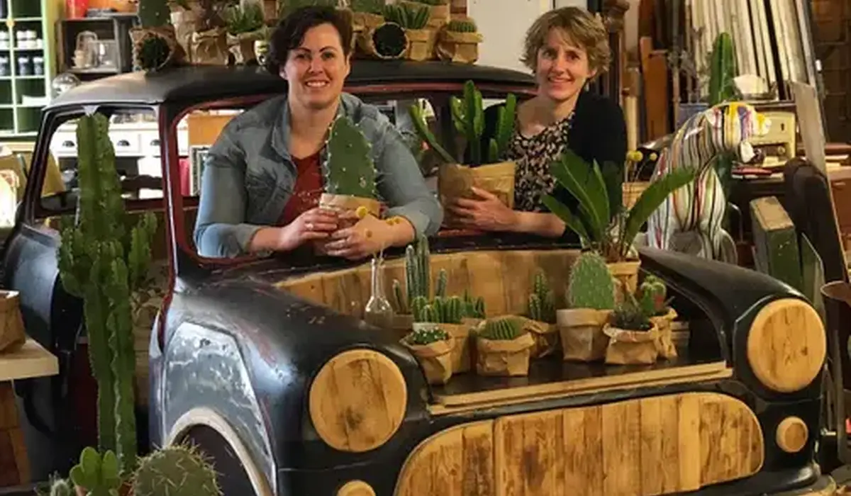 Hebikvia cactus ladies 503x