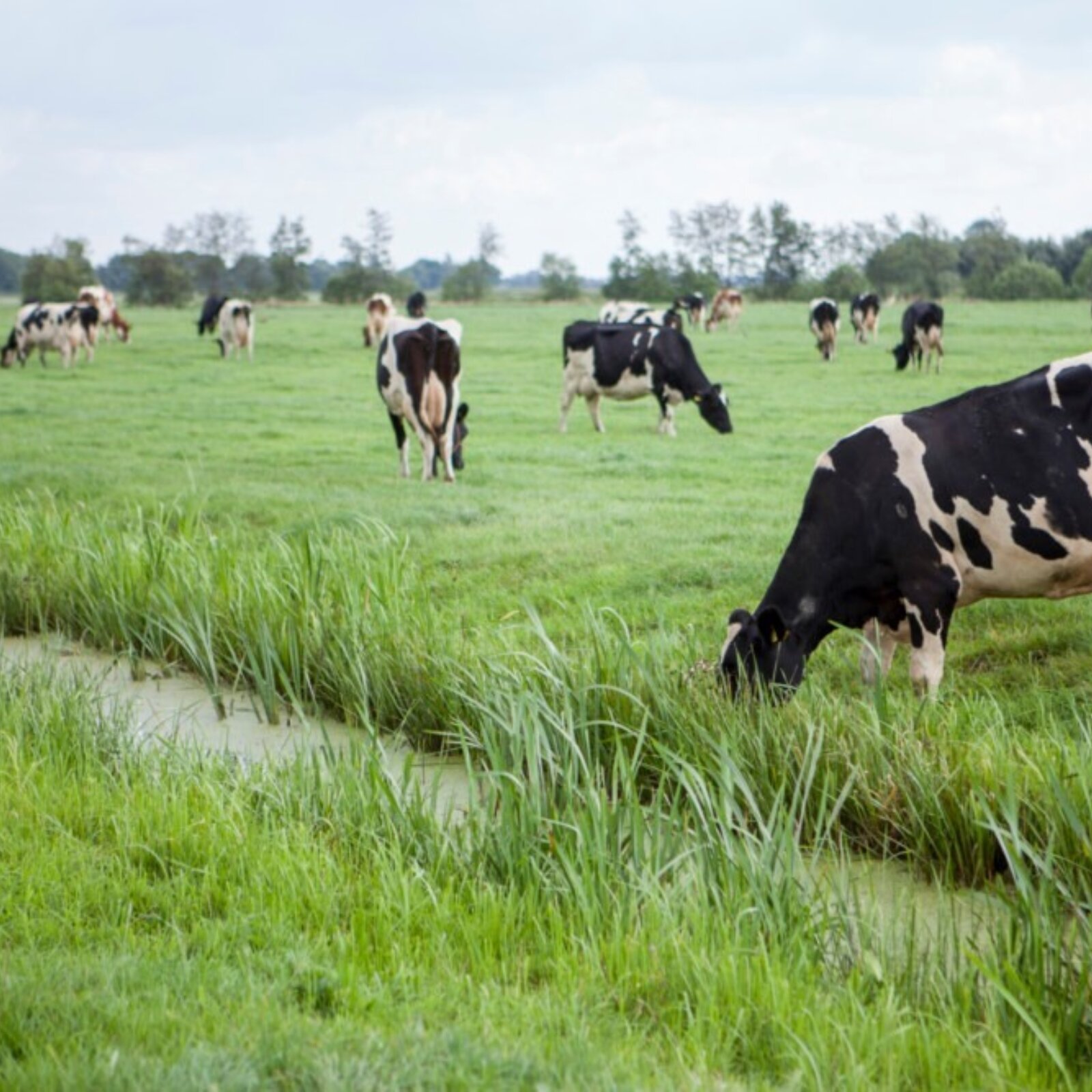 482016443 9411641918892830 2670571911978922881 n