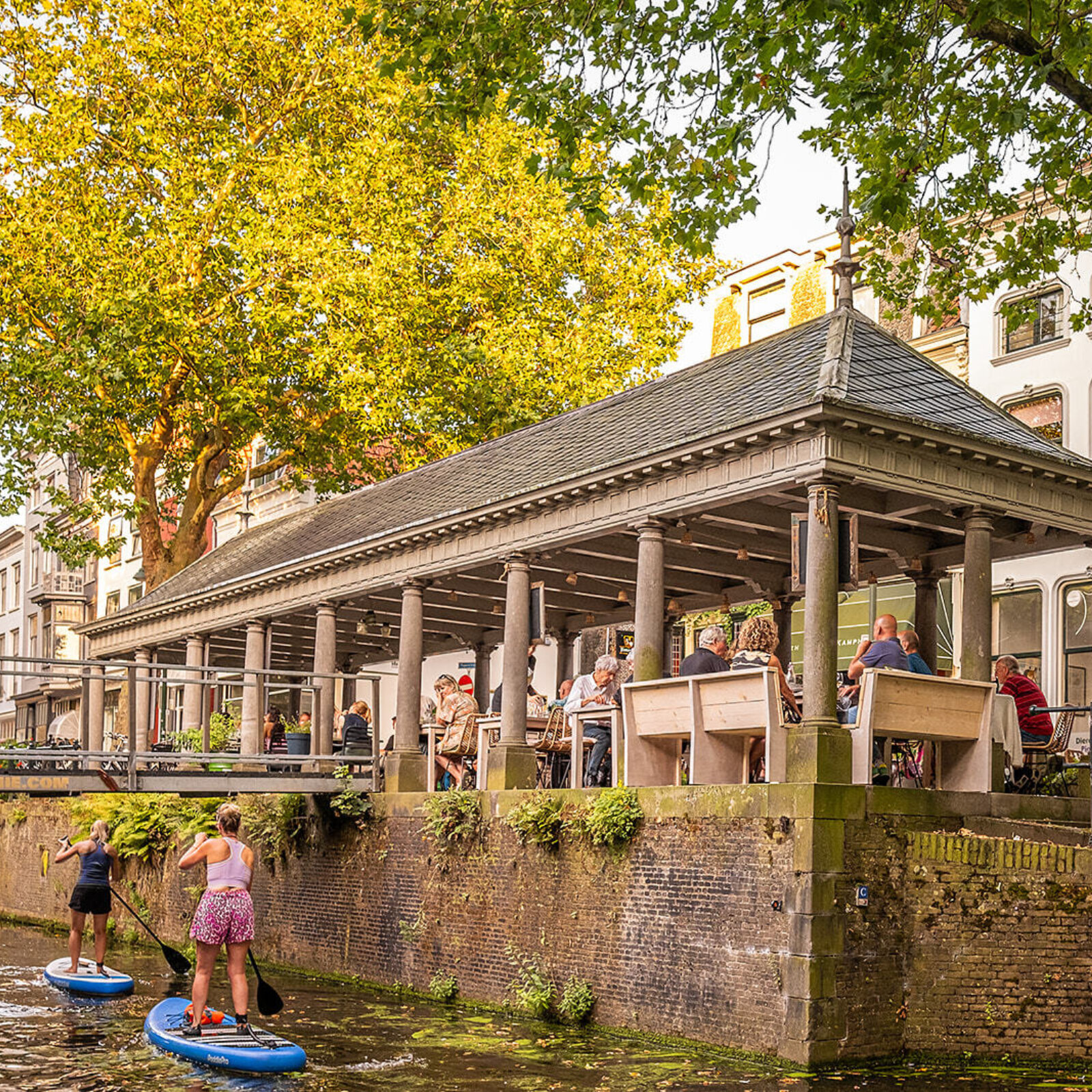 490381068 1097297189105526 1614608872055504826 n