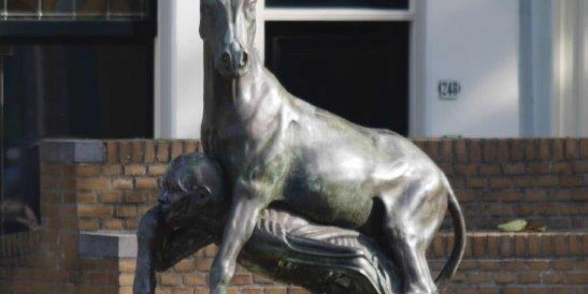 Gouda als Dierenmuseum - 3,5 km