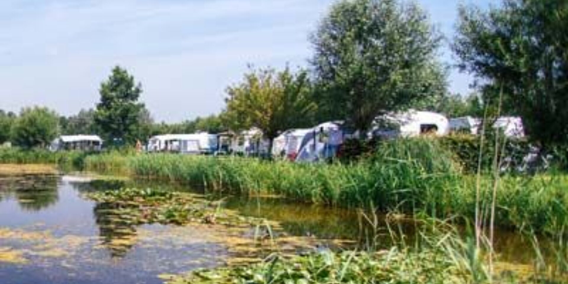 Polderflora | Camping en Chalets