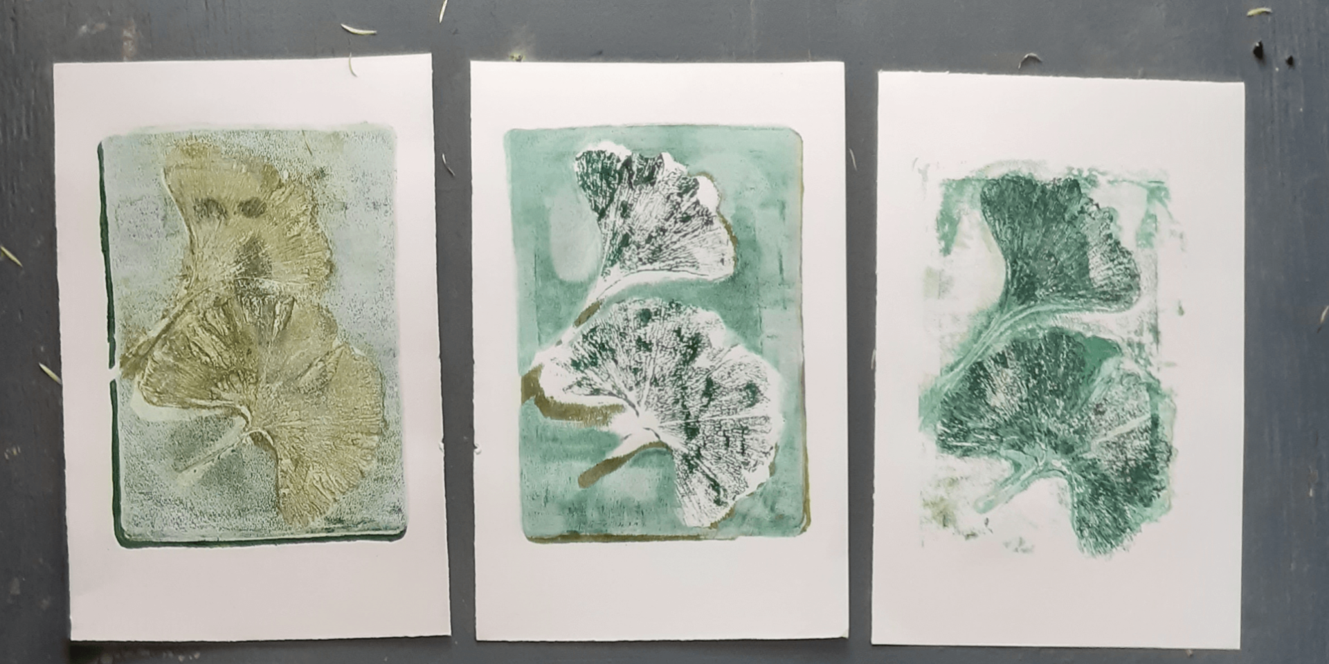 Workshop Botanische prints maken met een gelli plate - Uitgelicht