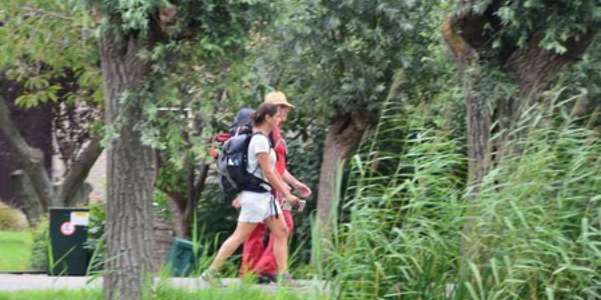 Zwerven door de Waard