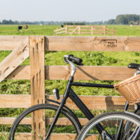 Tweewielers - Uitgelicht