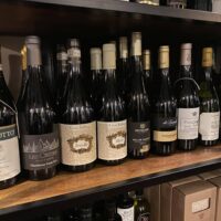 488225154 1251992313595219 555178899360778825 n