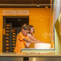 Gouda Cheese Experience 1