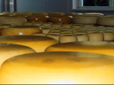 Kaasboerderij Jongenhoeve