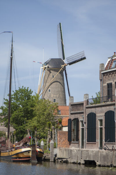 Goudse molens - Uitgelicht