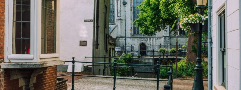 352502047 650786930423223 5306026296837555098 n