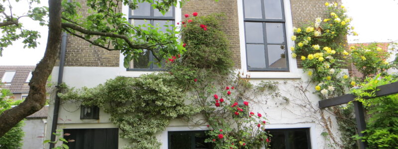 BnB The Apple Tree Cottage