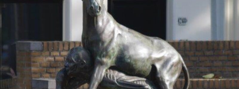 Gouda als Dierenmuseum - 3,5 km