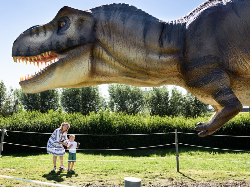 Goudse Post | De leukste zomeruitjes - Uitgelicht