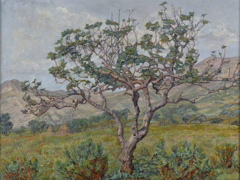 Jo Koster | Museum Gouda 2