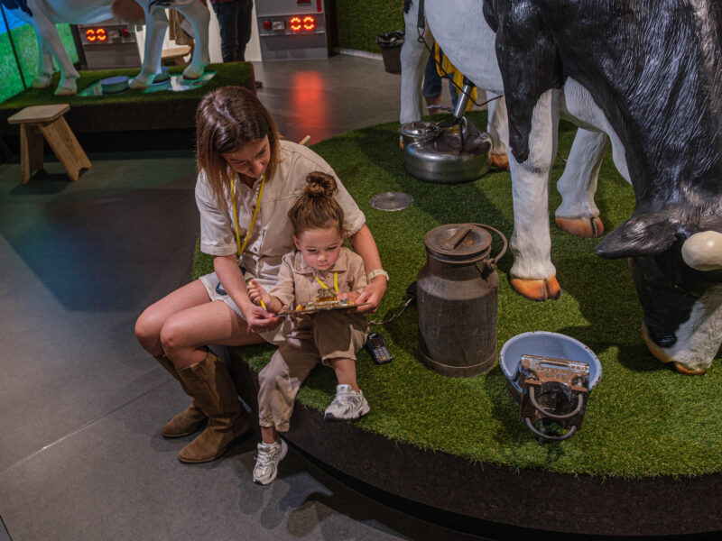 Gouda Cheese Experience 2